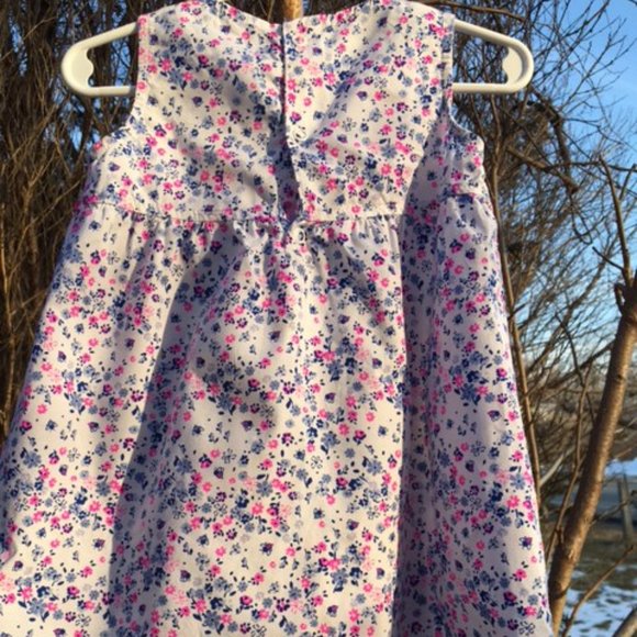 Fresh, NWOT, PInk & Blue Flowers, & Bumble Bees on White, Cotton Dress .24 mths - Picture 3 of 7